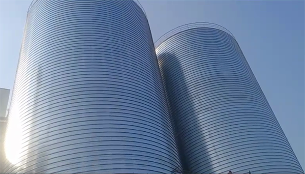 临清2座混凝土高架卷板仓